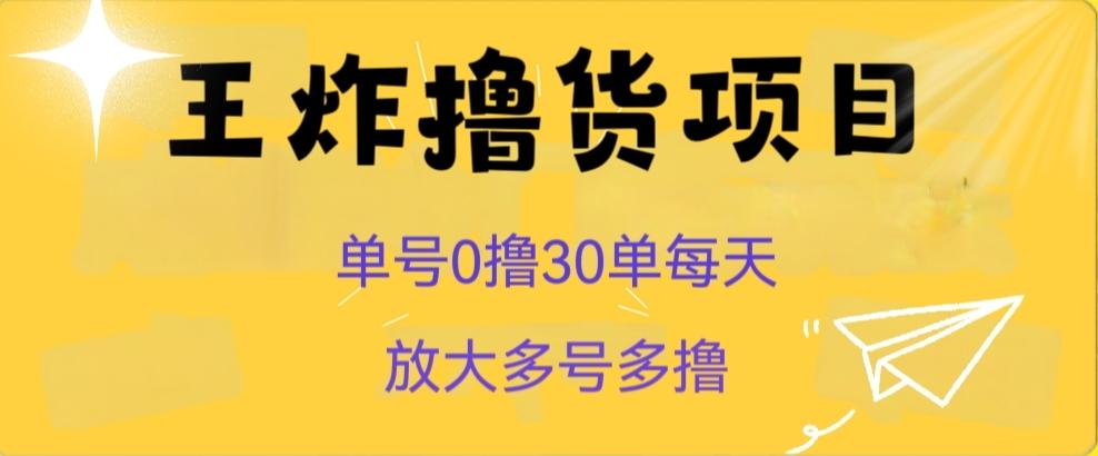 王炸撸货项目,单号0撸30单每天,多号多撸【揭秘】-rose网创