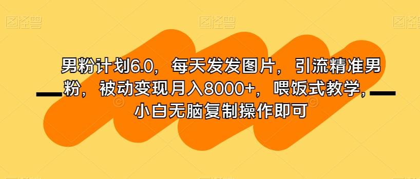 男粉计划6.0，每天发发图片，引流精准男粉，被动变现月入8000+，喂饭式教学，小白无脑复制操作即可-rose网创