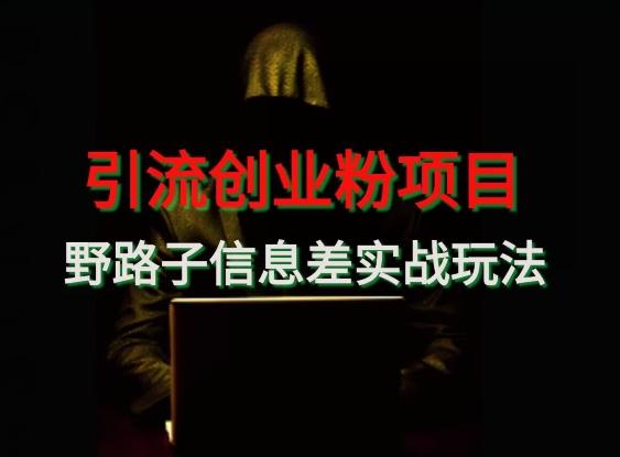 【引流创业粉】野路子信息差玩法实战教学-rose网创