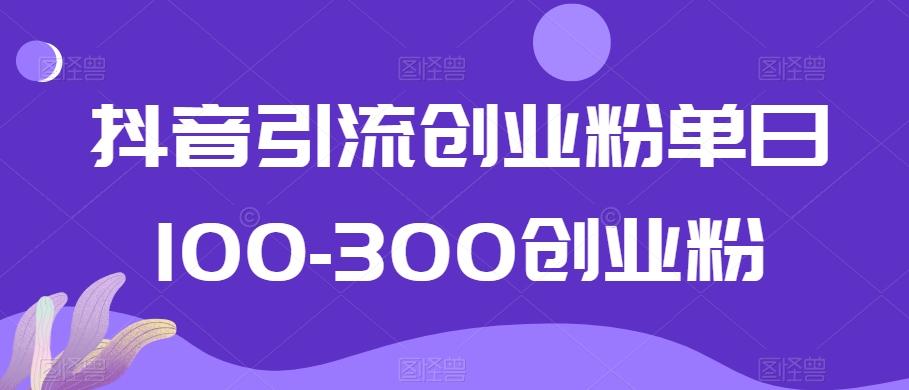 抖音引流创业粉单日100-300创业粉【揭秘】-rose网创
