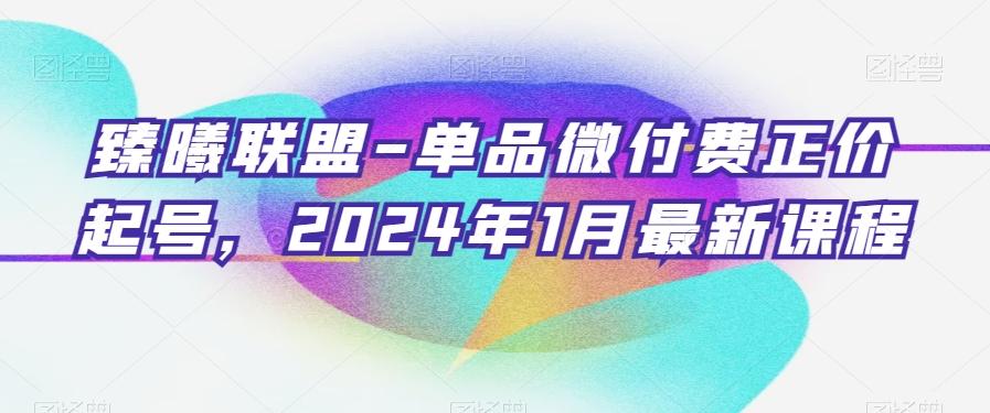 臻曦联盟-单品微付费正价起号,2024年1月最新课程