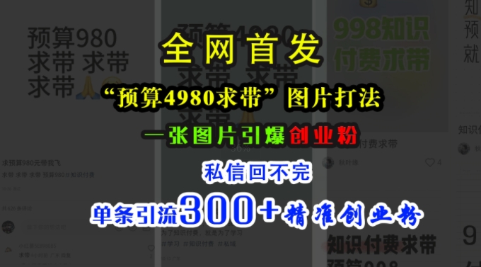 小红书“预算4980带我飞”图片打法，一张图片引爆创业粉，私信回不完，单条引流300+精准创业粉-rose网创