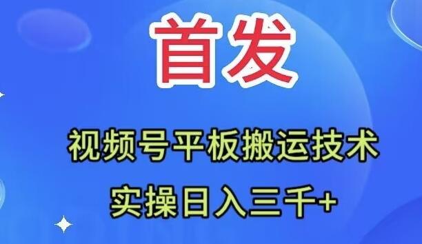 全网首发：视频号平板搬运技术，实操日入三千＋-rose网创