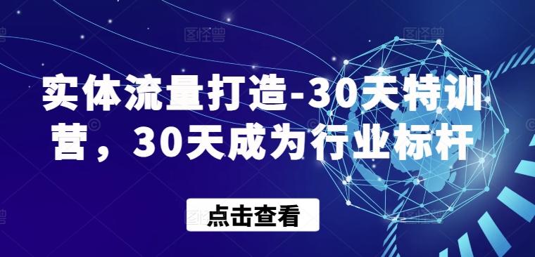 实体流量打造-30天特训营，30天成为行业标杆-rose网创