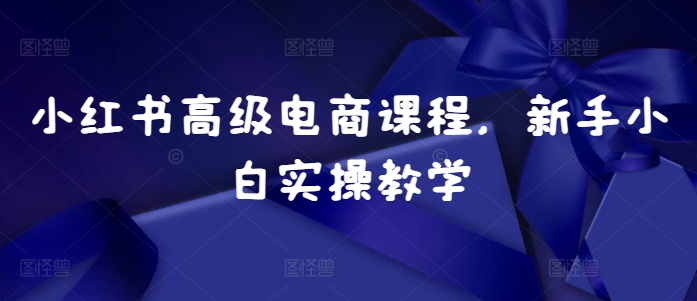 小红书高级电商课程,新手小白实操教学-rose网创