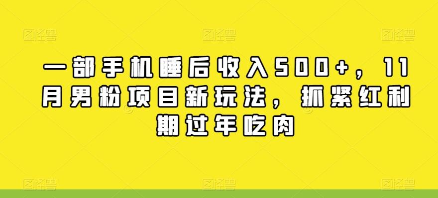 一部手机睡后收入500+，11月男粉项目新玩法，抓紧红利期过年吃肉-rose网创