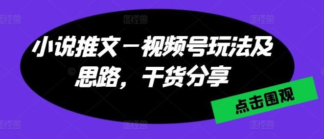 小说推文—视频号玩法及思路，干货分享-rose网创