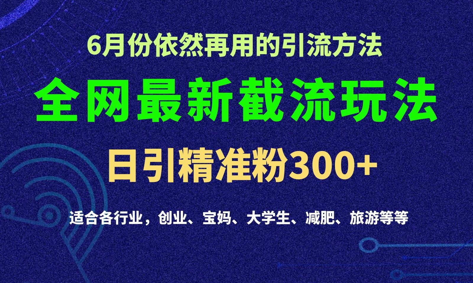 2024全网最新截留玩法，每日引流突破300+-rose网创