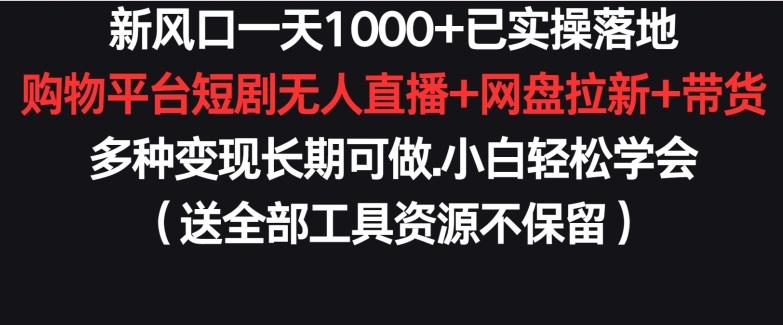 新风口一天1000+已实操落地购物平台短剧无人直播+网盘拉新+带货多种变现长期可做【揭秘】-rose网创