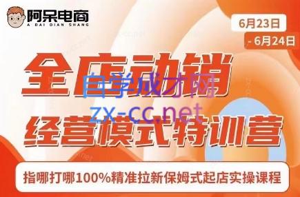 阿呆电商·全店动销经营模式特训营(线下录音+思维导图)-rose网创