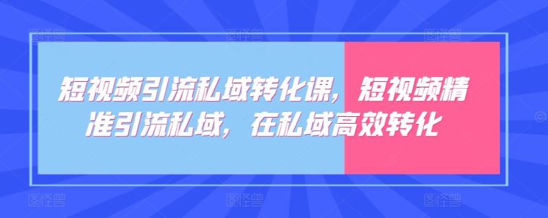短视频引流私域转化课,短视频精准引流私域,在私域高效转化