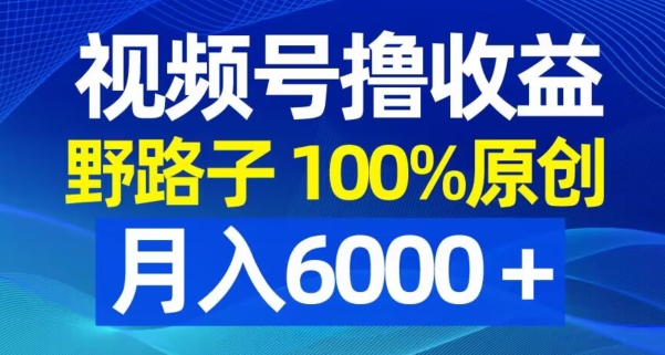 视频号野路子撸收益，100%原创，条条爆款，月入6000＋【揭秘】-rose网创