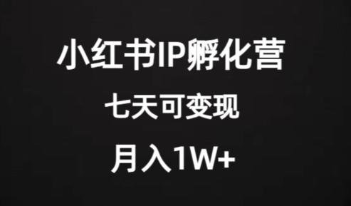 价值2000+的小红书IP孵化营项目，超级大蓝海，七天即可开始变现，稳定月入1W+-rose网创