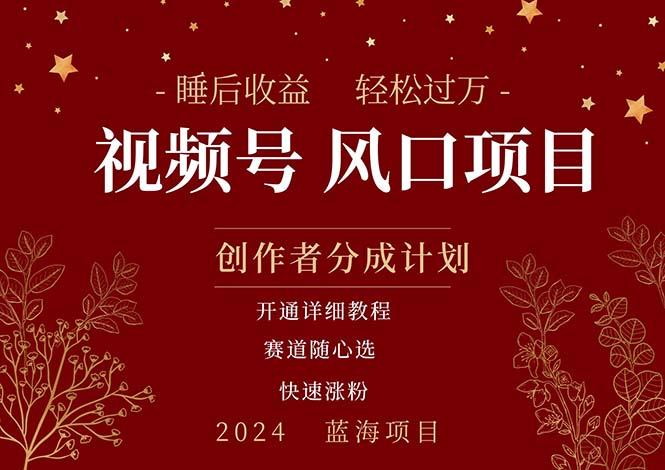拥有睡眠收益的微信视频号大风口项目，轻松月入过万+，多赛道选择，可…-rose网创