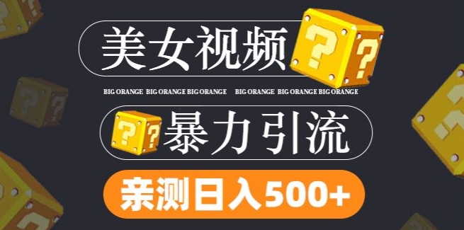 搬运tk美女视频全网分发,日引s粉300+,轻松变现,不限流量不封号【揭秘】-rose网创