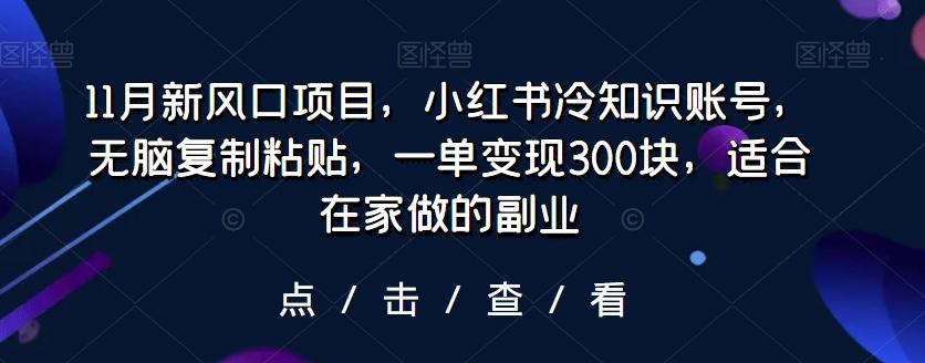 11月新风口项目，小红书冷知识账号，无脑复制粘贴，一单变现300块，适合在家做的副业-rose网创