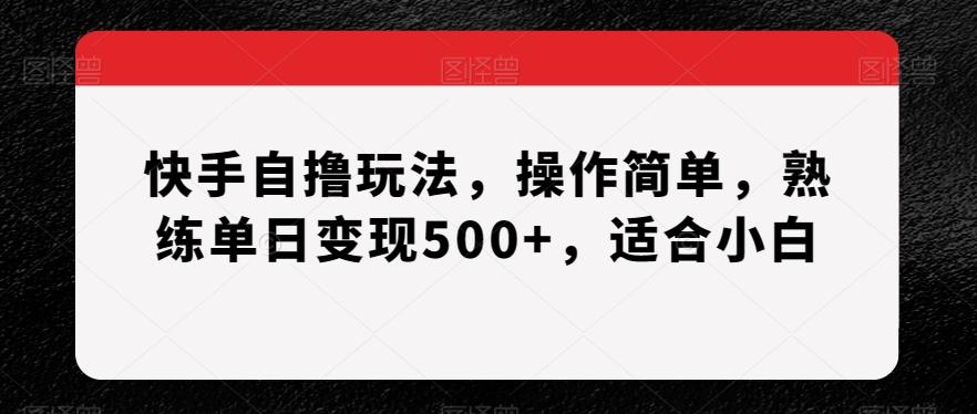 快手自撸玩法，操作简单，熟练单日变现500+，适合小白【揭秘】-rose网创