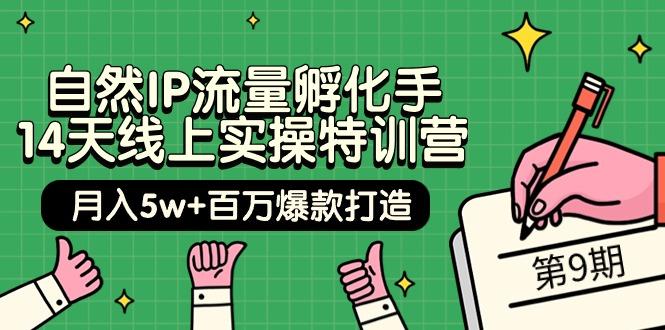 (9881期)自然IP流量孵化手 14天线上实操特训营【第9期】月入5w+百万爆款打造 (74节)-rose网创