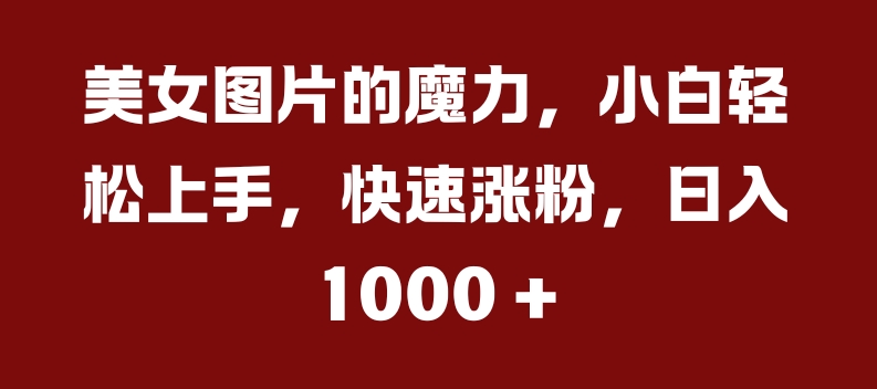 美女图片的魔力,小白轻松上手,快速涨粉,日入几张【揭秘】-rose网创
