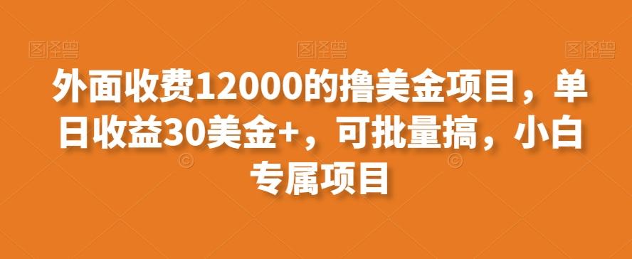 外面收费12000的撸美金项目，单日收益30美金+，可批量搞，小白专属项目-rose网创