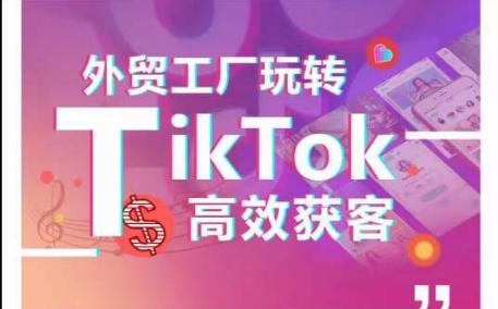 外贸工厂玩转TikTok高效获客，多种引流方式与账号定位技巧，拆解爆款短视频打造成功案例-rose网创