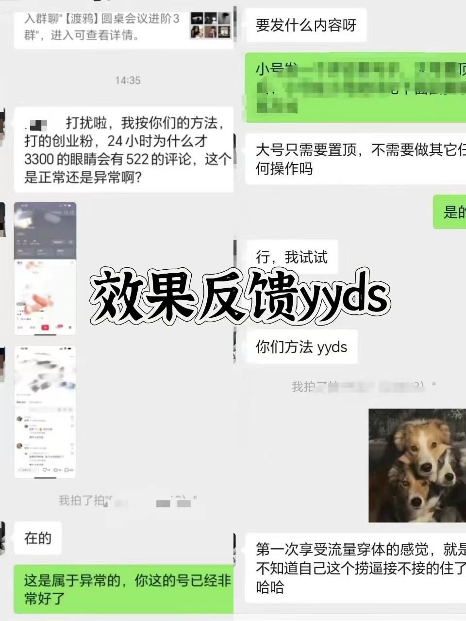 图片[3]-抖音小红书视频号全平台引流打法，全自动引流日引2000+精准客户-rose网创
