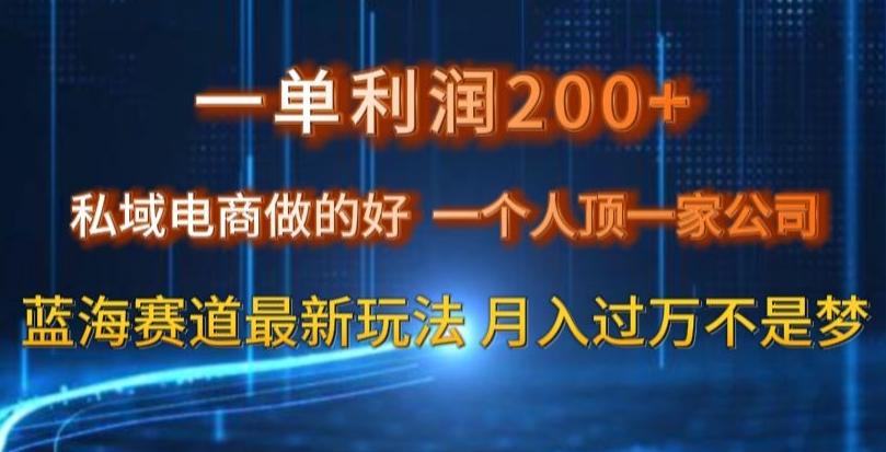 一单利润200私域电商做的好，一个人顶一家公司蓝海赛道最新玩法【揭秘】-rose网创
