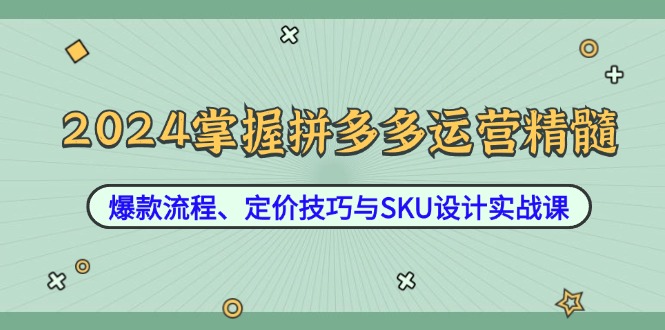 2024掌握拼多多运营精髓:爆款流程、定价技巧与SKU设计实战课-rose网创