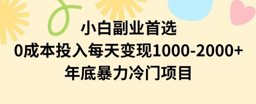 小白副业首选，0成本投入，每天变现1000-2000年底暴力冷门项目【揭秘】-rose网创