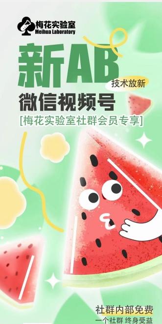 梅花实验室2024年AB技术视频号AB合成破解版-rose网创
