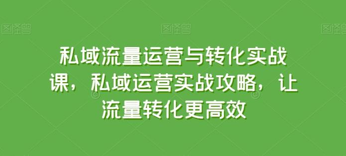 私域流量运营与转化实战课，私域运营实战攻略，让流量转化更高效-rose网创
