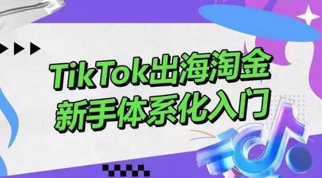 TikTok出海淘金，新手体系化入门，零基础快速入门，掌握短视频、直播带货等引流到变现的知识-rose网创