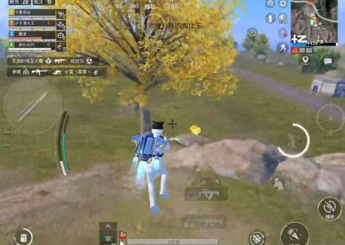 和平精英上色-强锁自瞄-rose网创