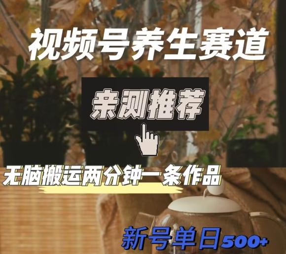 视频号养生赛道暴力掘金，无脑搬运，两分钟一条作品-新日单入500+-rose网创