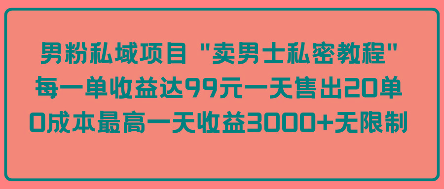 (9730期)男粉私域项目 “卖男士私密教程” 每一单收益达99元一天售出20单-rose网创