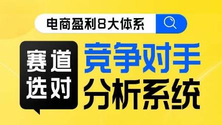 电商盈利8大体系·赛道选对,竞争对手分析系统线上课-rose网创