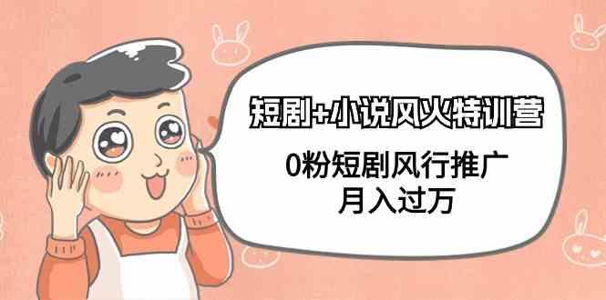 小说+短剧风火特训营，0粉短剧小说风行推广，实现月入过万-rose网创